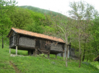 Akaki Tsereteli State Museum, Imereti