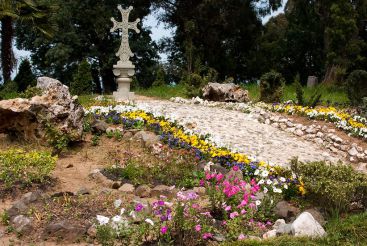 Batumi Botanical Garden