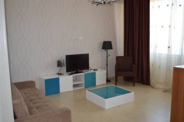 Standard One-Bedroom Apartment