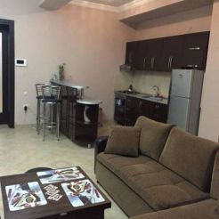 Apartment at Zurab Gorgiladze
